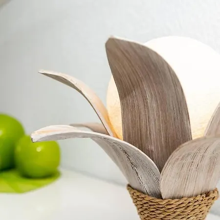 Atrapasuenos House شقة كوراليهو